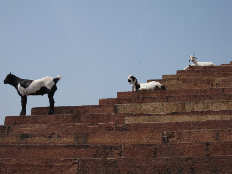 indien_02_agra_578.jpg