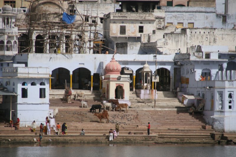 indien_04_pushkar_180.jpg