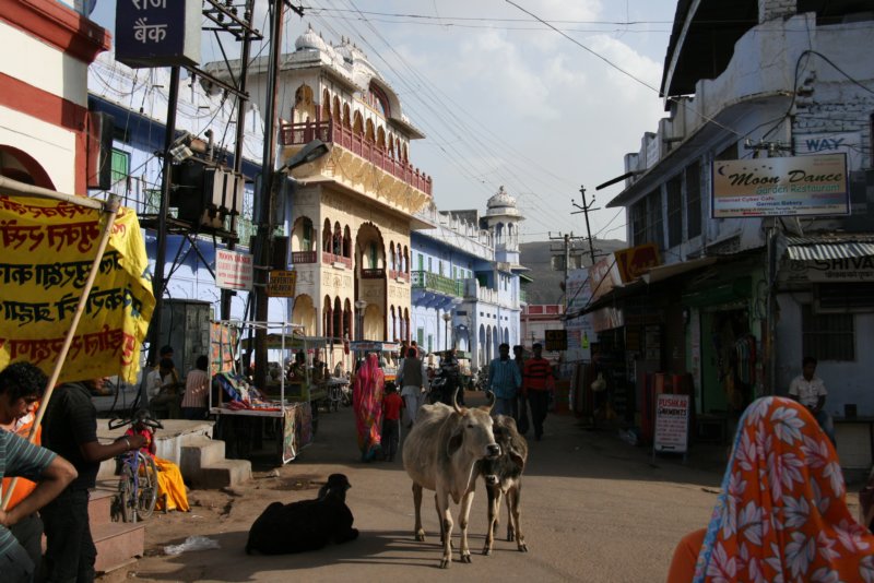 indien_04_pushkar_237.jpg