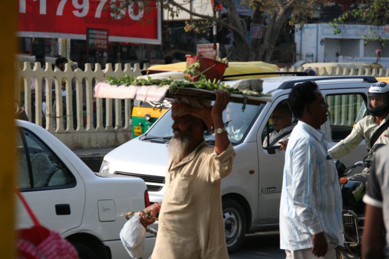 indien_01_delhi_209.jpg