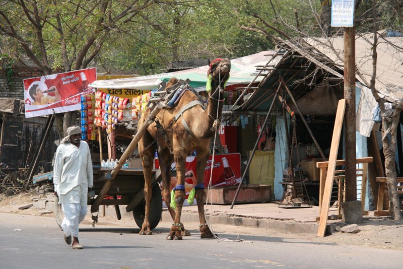 indien_02_agra_513.jpg