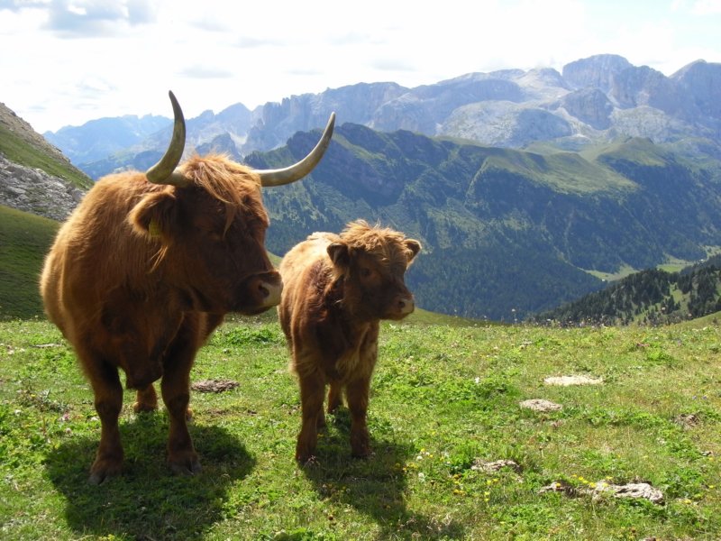 dolomiten1_042.jpg