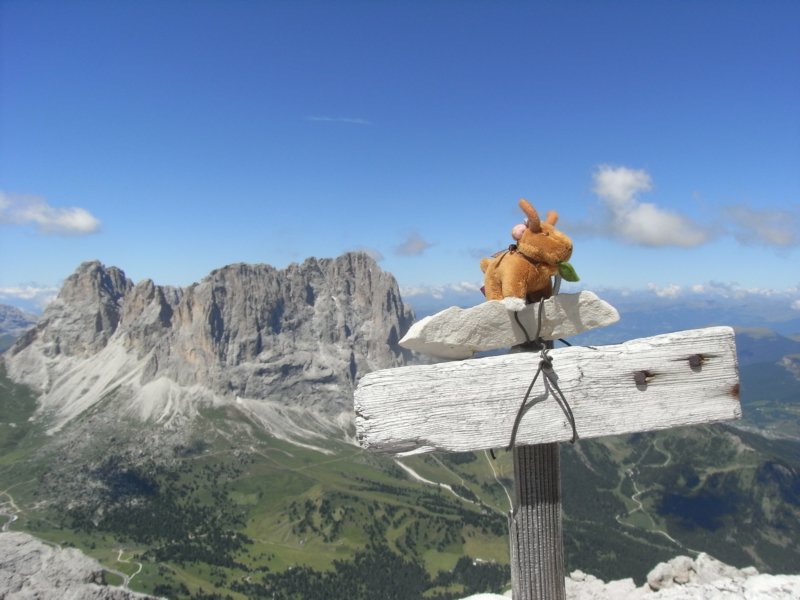 dolomiten1_337.jpg