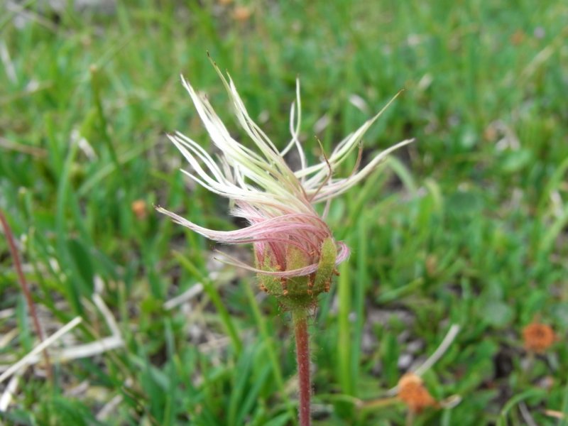 dolomiten1_400.jpg