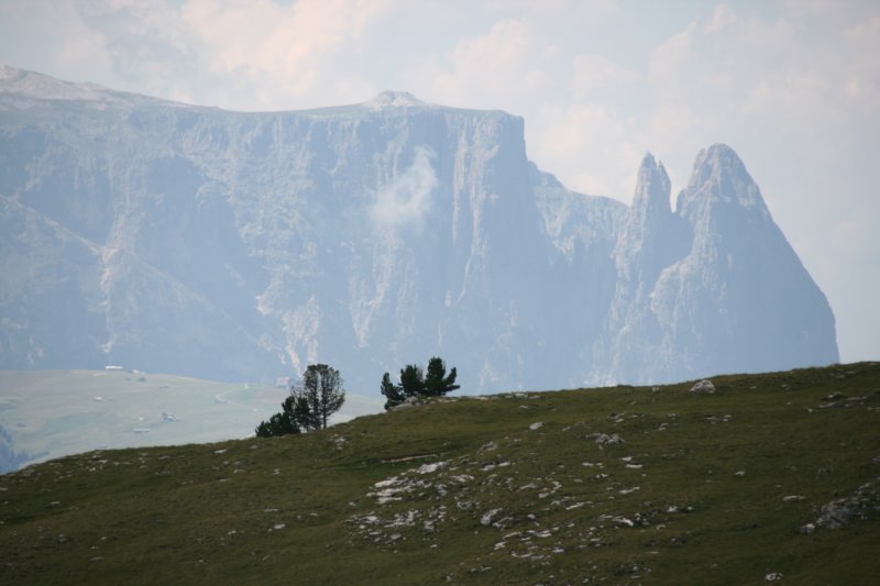 dolomiten1_496.jpg